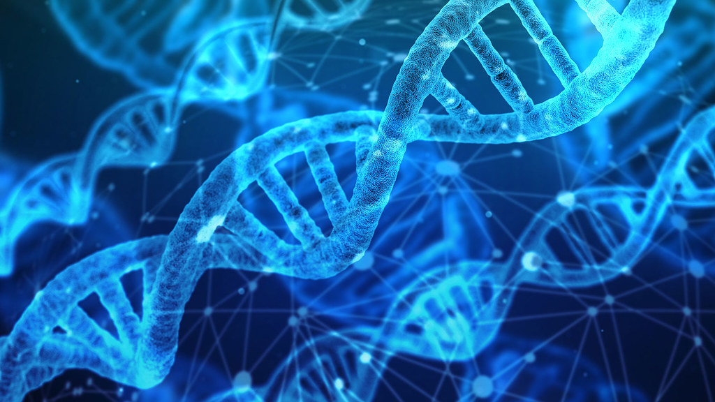 电脑模拟DNA链