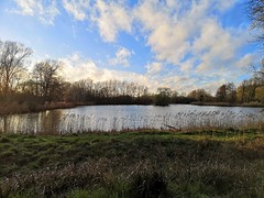 Lackford Lakes - March 2019