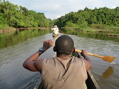 Tsam Tsam Ecotourism Site, Gabon