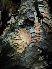 Grotte de Clamouse_153304