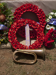 18SHDP067 - Peachester Cemetery Remembrance Day