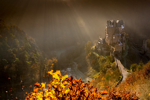 Burg Eltz Herbst Nebel