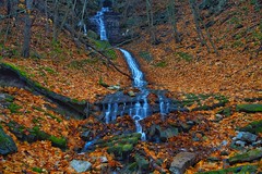 Chedoke Waterfalls