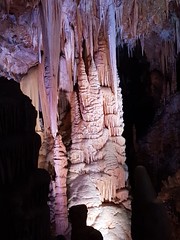 Grotte de Clamouse_152951