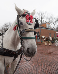 St. Charles Christmas Traditions 2018