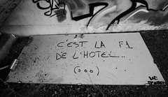 Street Art La Roche-sur-Yon Hôtel F1 Novembre 2018