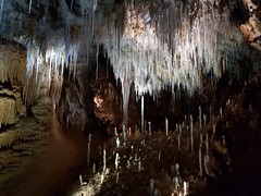 Grotte de Clamouse_155644