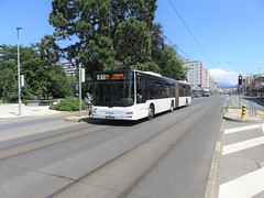 Bus transfrontalier  Genève Annemasse (ligne 61) (Suisse-France)