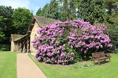 Cannon Hall Gardens, Summer