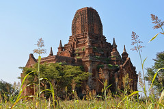 MYANMAR - BAGAN