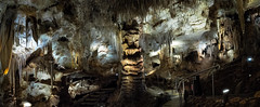 tantanoola caves conservation park