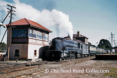 The Noel Reed Collection