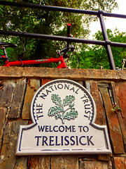Trelissick Garden, Feock, Cornwall