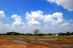 Sithadi - Thirukarugavur - Punnainallur visit 2013