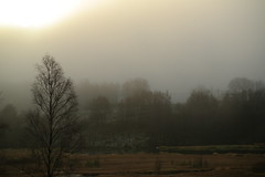 Fog and mist