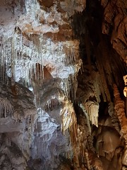 Grotte de Clamouse_160908