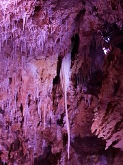 Grotte de Clamouse_153009