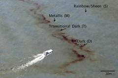 Taylor Oil Spill New Estimates: Oscar Pineda-Garcia Report