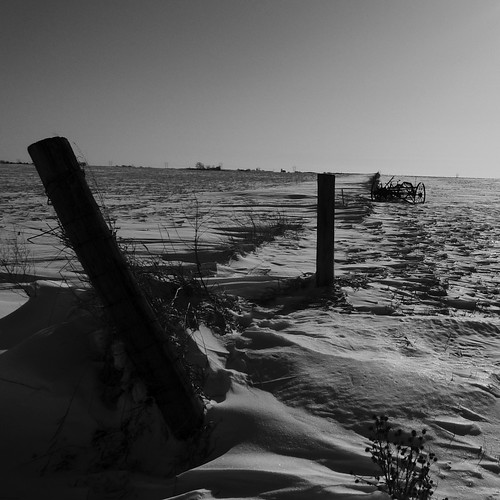 leica bw snow cold blancoynegro fence landscape illinois post farm posts drifts snowdrifts oldfarmequipment p2wy troxel omgcold dlux4 4fwitha25mphwind