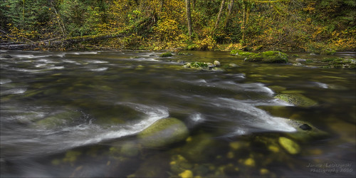 bear creek forest geotagged stream exposure slow northwest salmon westcoast kanaka hdr janusz leszczynski pacyfic 003521 geo:lat=49202359 geo:lon=122541504