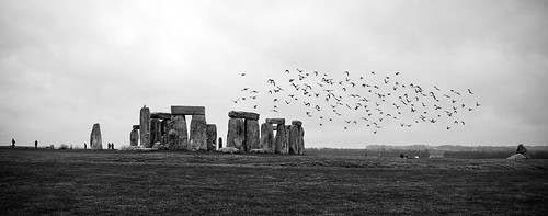 uk england people bw travelling grass birds stones stonehenge weekendtrip withneonnoon birdsdontpayanyadmissionstudents560