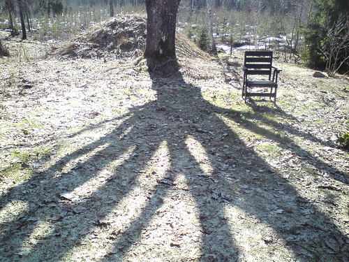 trees landscape spring shadows chairs seat