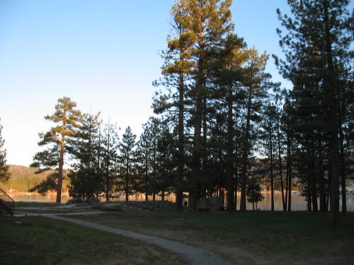 california sunrise pines evergreens bigbear