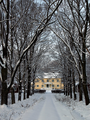 trees estate sweden tungelsta haninge avenue hammar allévägen winterinsweden