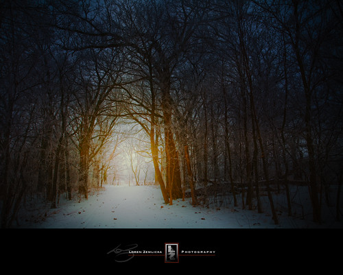 road trees winter light shadow snow cold church nature wisconsin forest dark photography photo woods midwest arch cathedral image path religion january picture explore madison canonef1740mmf4lusm 2010 canoneos5d flickrexplore lakefarmpark flickrfrontpage lorenzemlicka