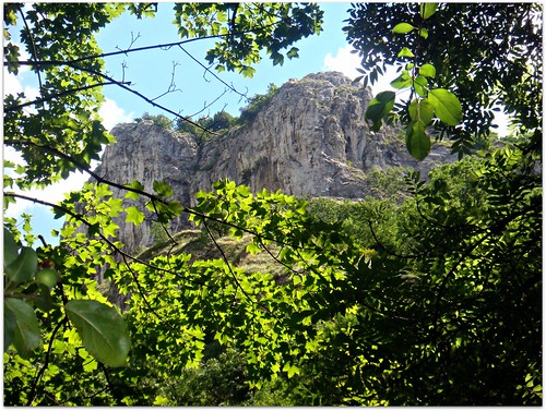 mountains canyon romania vegetation peaks apuseni cheileturzii westerncarpathian turdacanyon