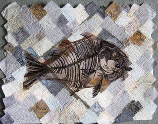 fish fossil