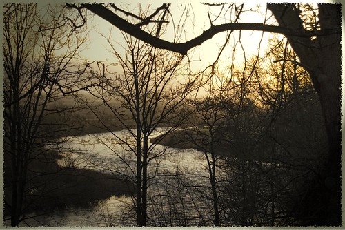 trees winter water sunrise river landscape geotagged dawn honey cumbria eden flowing goldleaf copse skeletaltrees geo:lat=5470415 geo:lon=2695851 gentlybendly