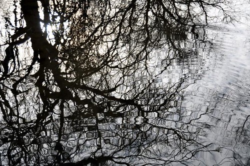 trees winter water reflections kansas olathekansas d90