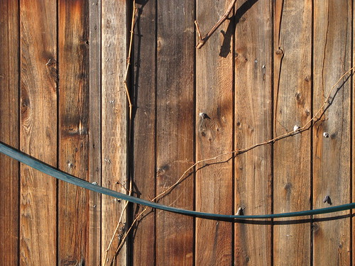 wood fence nail vine hose staple rivet fastener