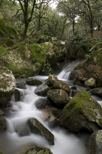 musgo verde water waterfall agua nikon bosque cascada d90 retofs1 retofs2 retofs3 iikddlasauceda