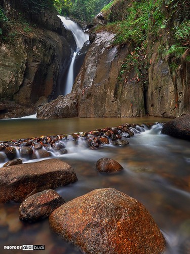 macro nature up lens waterfall cool close malaysia jumper reverse hutan hijau alam chiling rimba semesta lipur akalbudi