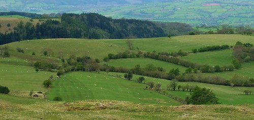 green wales landscape countryside view fields