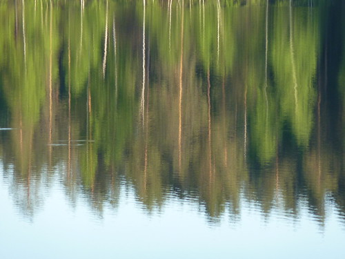 trees lake reflection water