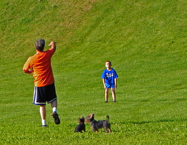 Father and son playing catch
