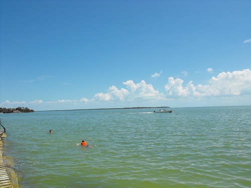mar playa palmeras chetumal quintanaroo bahía calderitas bahíadechetumal