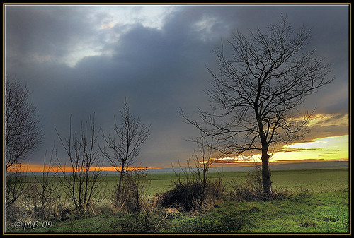 soleil d70 jour nuage arbre lever matin plaine flandre mywinners guînes vosplusbellesphotos