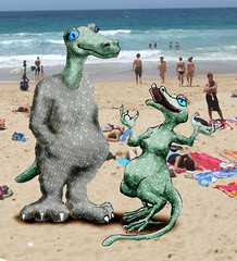 Two Dragons at Manley Beach
