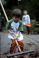 brothers sweeping up leaves 