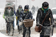 Copenhagen February Traffic - Cycling in Winter in Copenhagen