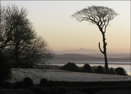 tree sunrise dawn bay cumbria morecambe furness morecambebay bardsea duncandarbishire