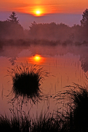 sunrise se sweden earlymorning sverige soluppgång morningmist öland morgondimma tidigmorgon vitkärr