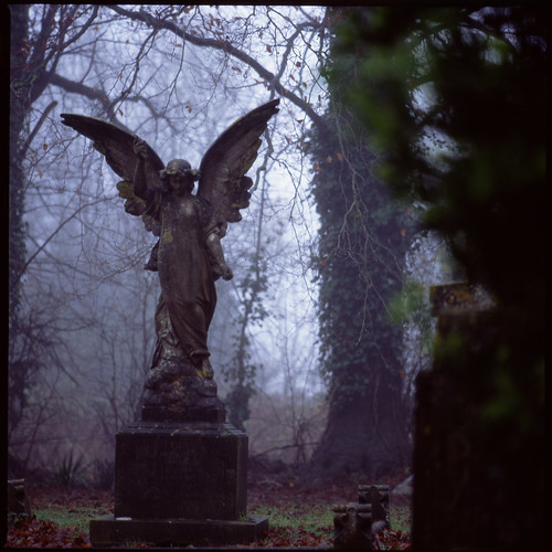 uk trees winter england mist 120 6x6 film monument cemetery grave leaves fog stone angel geotagged wings peace fuji gloomy ivy hampshire bronica memory gravestone rest lichen remembrance damp provia100f hursley rdpiii s2a zenzabronicas2a nikkorp200f4 s2ar009 geo:lat=51025036 geo:lon=1387641 nikkorp200mm14
