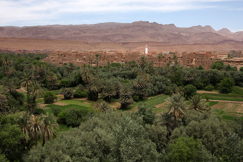 trees sky mountain tree minaret horizon palmtrees morocco palmtree valley wadi tinghir tinerhir palmery تنغير‎