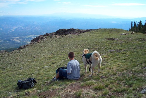 dog colorado hiking eaglepeak packdog camfirephotos