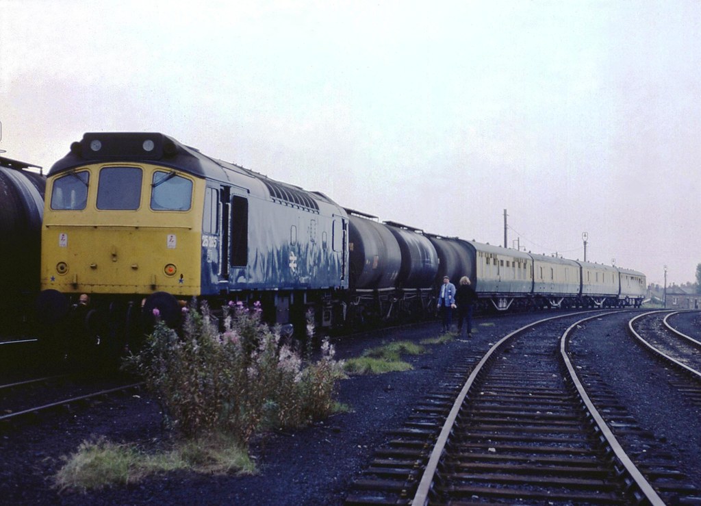 25285 at Oakleigh Sidings - 14th August, 1980